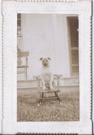 1890s CABINET PHOTO FAMILY PET PUG DOG SEATED ON CHILD ROCKING? CHAIR 2
