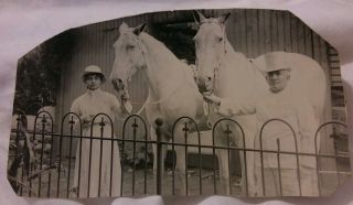 Vintage Old 1919 Photo Of 2 White Horses & Woman Man Dressed In White