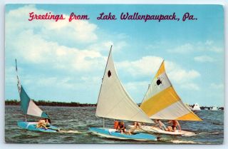 Postcard Pa Lake Wallenpaupack Sailing In A Brisk Breeze Vintage Photo C2