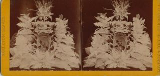 Skeleton Leaves In Memoriam President Garfield? 1881 Stereoview