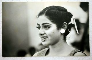 Bollywood Actress - Sridevi Sreedevi - Rare Photo Photograph 16 X 10 Cm
