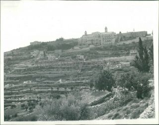 1939 Farms And Olive Groves In Bethlehem News Service Photo