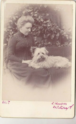 Old Vintage Cabinet Photo Woman Dress Fashion Dog Pet Animal F2