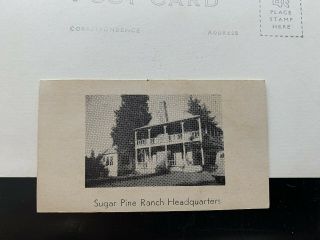 SUGAR PINE RANCH YOSEMITE VINTAGE 1940S REAL PHOTO POSTCARD AND BUSINESS CARD 2