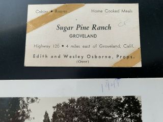 SUGAR PINE RANCH YOSEMITE VINTAGE 1940S REAL PHOTO POSTCARD AND BUSINESS CARD 3