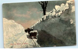 Road To Barre Winter Snow Horse Drawn Sled Ma ? Vt ? Vintage Postcard D63