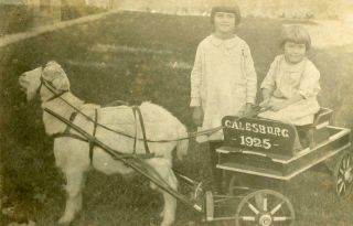 Zz74 Vtg Photo Rppc Two Girls In Goat Cart Wagon,  Galesburg Il C 1925