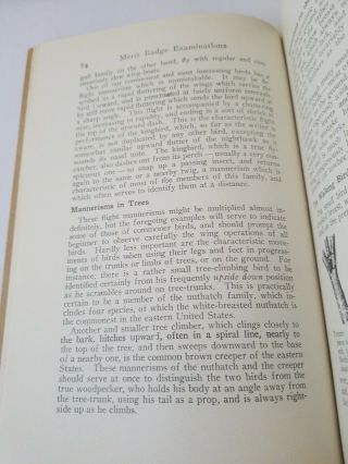 BIRD STUDY TAN COVERED MERIT BADGE 1930 COPYRIGHT 4