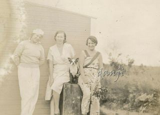 Deco Ladies By Boston Terrier Dog Sitting On A Box Cute 1933 Photo