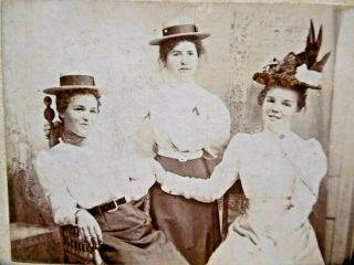 Antique Photograph Of Three Girls In Hats - Photographer From Trenton Nj