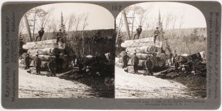 Keystone Stereoview Of A Load Of Logs In Minnesota From 1910’s Education Set Mn