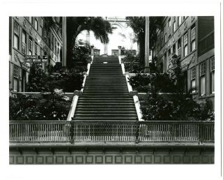C.  1900 San Francisco Sutro Baths " Grand Stairway " 8 " X10 " Glossy B/w Photo Print