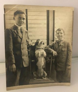 Vintage Wwi Era Photo Boys With Dog Standing In Chair & Wearing Helmut