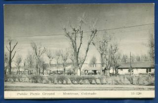 Montrose Colorado Co Public Picnic Ground Old Postcard