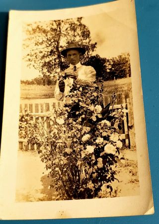 Vintage Photo Man In Hat Posing Rose Bush 1920 