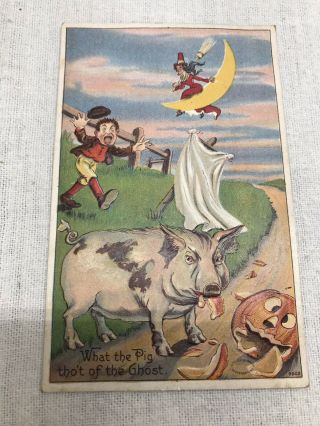 Halloween 1910 Antique Postcard Pig Tho 