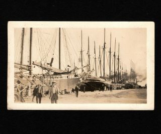 Opc 1925 Photos Florida Masted Ships At Harbor 4.  5 X 2.  75 "