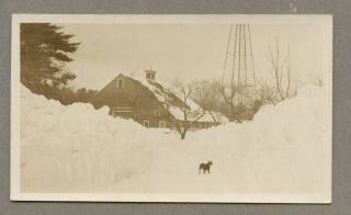 Vintage 1925 Christmas Photo Card Boston Terrier Dog ? Snows At Charles River