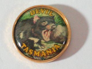 Tasmania Australia Souvenir Collector Lapel Pin Tasmanian Devil