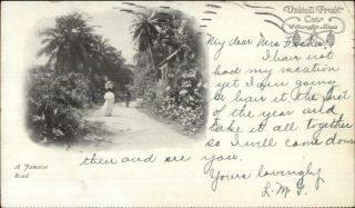 Jamaica - United Fruit Co Issued 1906 Private Mailing Card Postcard