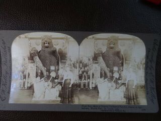 1904 Stereoview Worlds Fair St Louis California Exhibit Bear Made Of Prunes