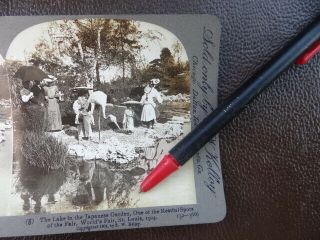 1904 STEREOVIEW WORLDS FAIR ST LOUIS MO LAKE IN THE JAPANESE GARDEN 2