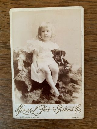 Antique Cabinet Photo - Barefoot Girl And Her Dog - Henshel