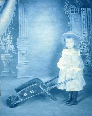 Cyanotype: Sweet Little Girl With Toy Wheelbarrow; Ca 1900,  Ma,  4x5