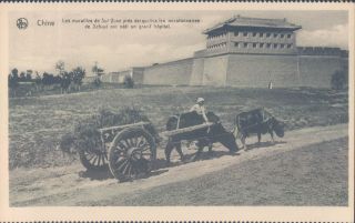 China Belgian Mission Sul Yuan Walls Beef Drawn Cart 1910s Pc