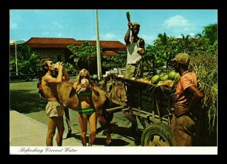 Dr Jim Stamps Drinking Coconut Water Cayman Islands Continental Size Postcard