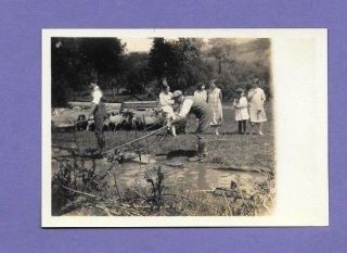 Sheep Washing Colwall Herefordshire 1929 Vintage Old Photo 8x6cm Gh