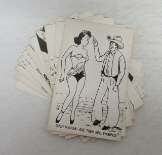 (11) Comic Humor Artist Signed F.  Zinn Postcards Western Risque Woman Dog Wz5721