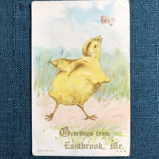 Eastbrook Maine Easter Chick Butterfly Postcard 1908 Artwork 1 Cent Postage