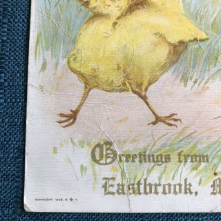 Eastbrook Maine Easter Chick Butterfly Postcard 1908 Artwork 1 Cent Postage 4