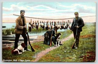" A Days Sport " In Muskegon Michigan Duck Hunters Hunting Dogs Birds On Pole 1910