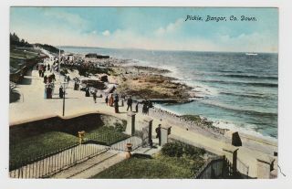 Great Old Card The Pickie Bangor County Down Northern Ireland Around 1910