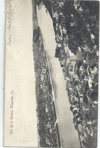 Maysville,  Ky: 1907: View Of Town And The Ohio River: French Card