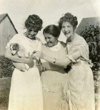 Kj96 Vtg Photo Three Women Fawning Over Tiny Puppy,  Dog,  Gingham C Early 1900 