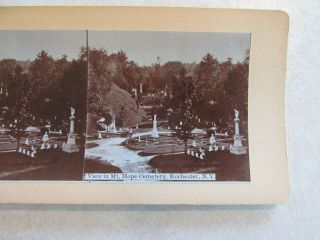 Sv282 Stereoview Photo Card View In Mt Mount Hope Cemetery Rochester Ny York
