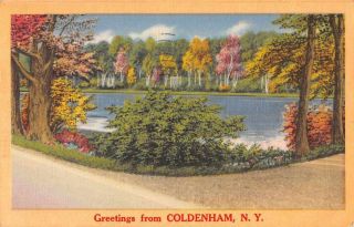 Coldenham York Greetings Scenic View Vintage Postcard Jd933416