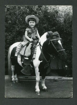 Vintage Photo Cute Boy On Mini Pony Horse W/ Cowboy Hat & Chaps 985056