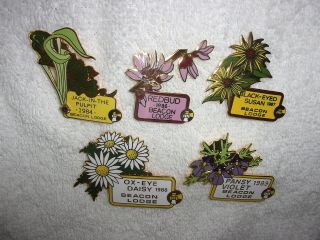 Lions Club Pins - Group Of (5) Beacon Lodge Flower Pins
