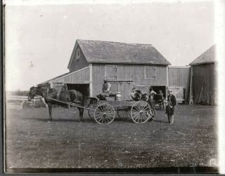 Vintage Photograph 1900 - 10 Girls Fashion Dogs Horses Wagon Barn Wisconsin Photo
