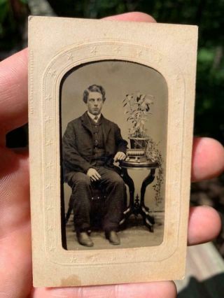 Antique 1800s Tintype Photo Handsome Man Posed With Plant Civil War Era