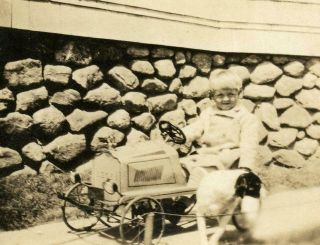 Vt237 Vtg Photo Child With Pedal Car And Puppy Dog C Early 1900 