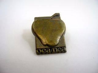 Vintage Collectible Pin: Oea / Nea Apple Ohio Education & National Education