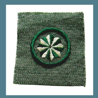 Rare Citizen 1928 - 1932 Girl Scout Gray - Green Square Badge Patch Jr.  Active