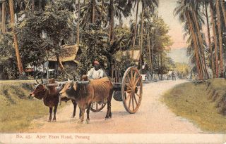 Penang,  Malaysia Ayer Etam Road,  Ox Cart & Driver,  Homes C 1904 - 14