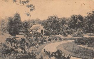 St.  Kitts,  Bwi,  Botanic Station,  Building,  Landscape,  Losada Pub 105a C 1904 - 14