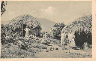 St.  Kitts,  Bwi,  Natives Posing Outside Their Country Homes,  Losada Pub C 1904 - 14